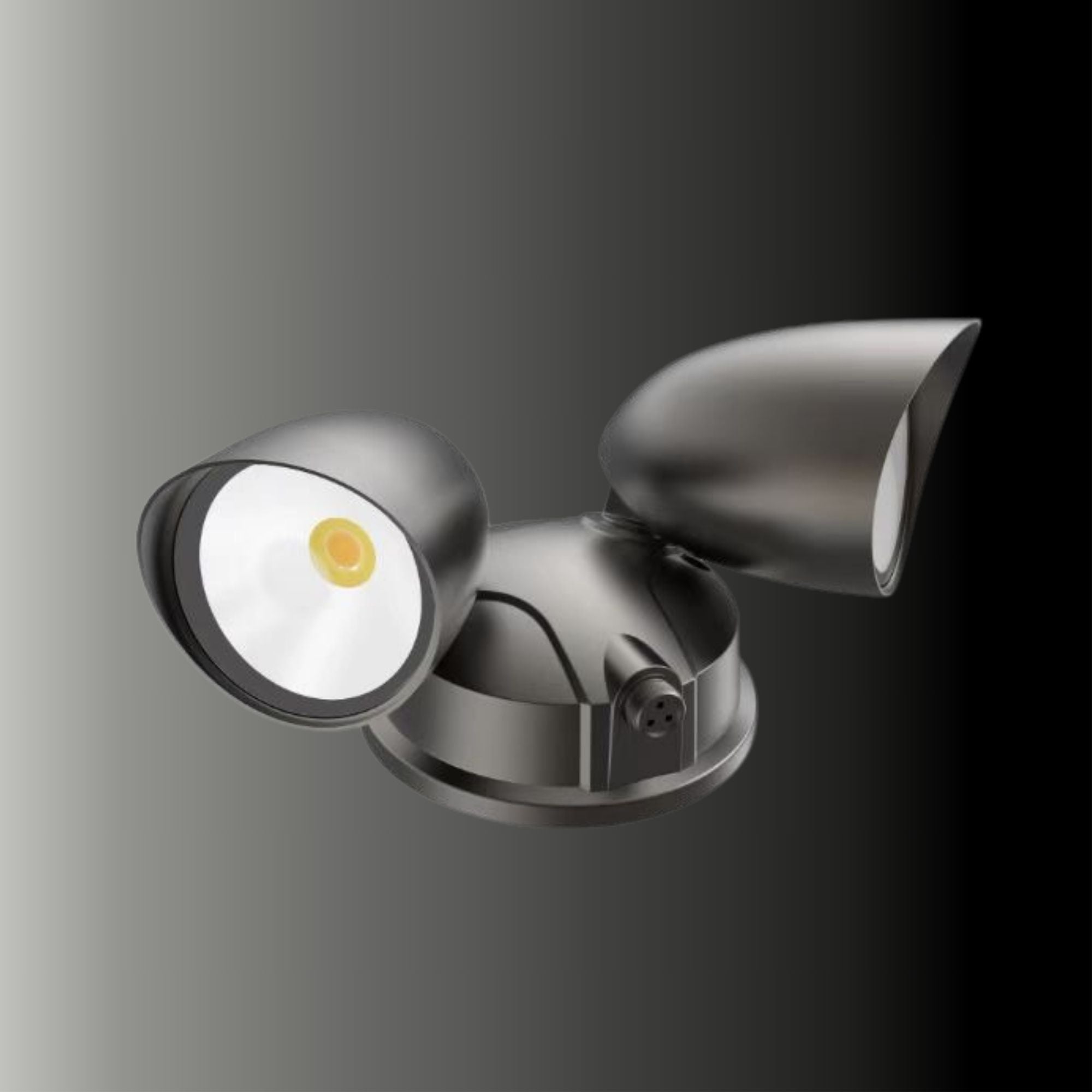 Cerian Lighting CERPRIS Security Light 30W