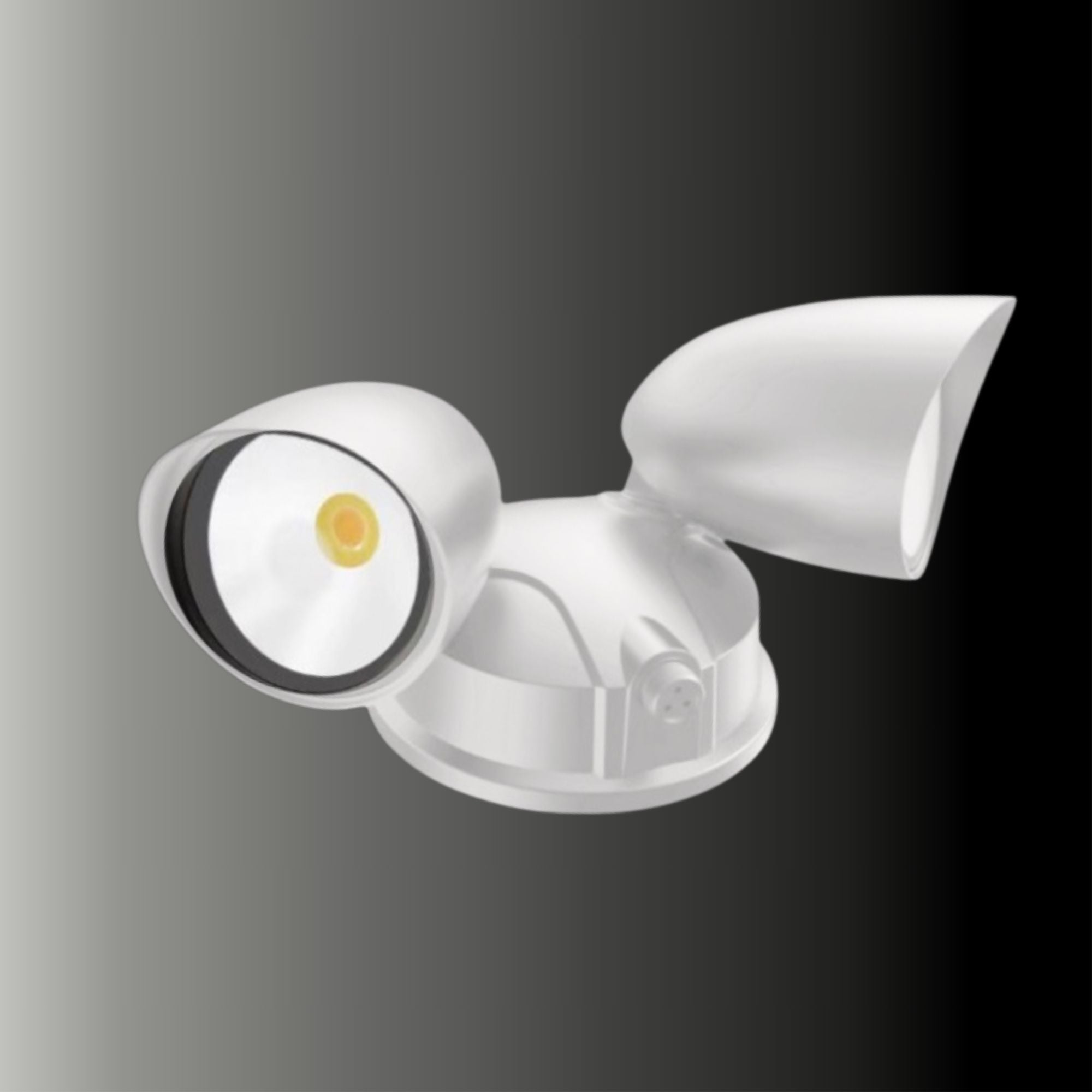 Cerian Lighting CERPRIS Security Light 30W