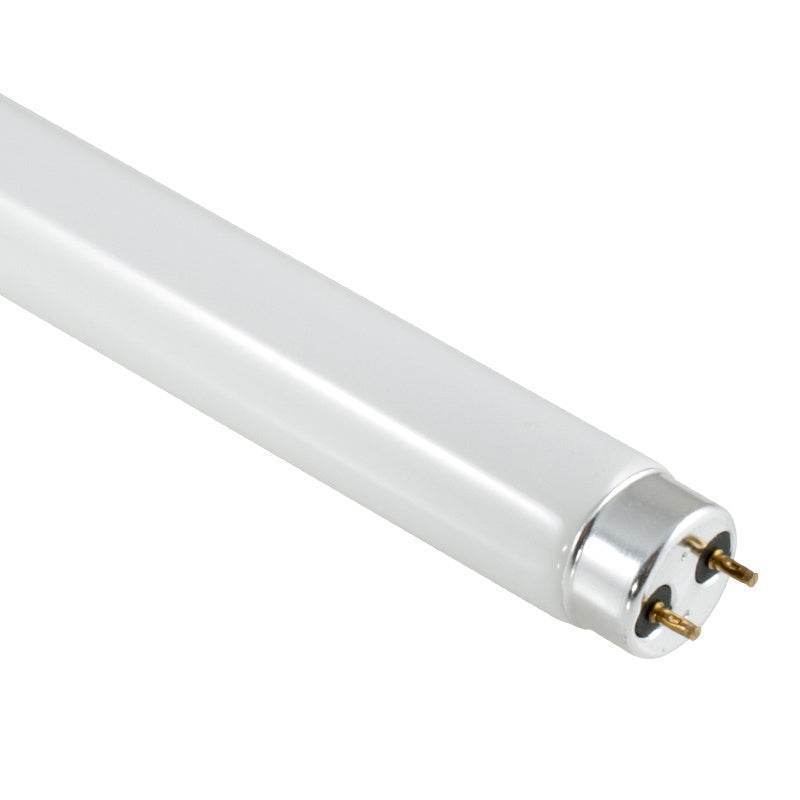 10210NLS Fluorescent Lamps - Straight T8 - ONE STOP LIGHTING