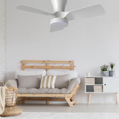 Vencha Kiwi 32 Ceiling Fan with Light