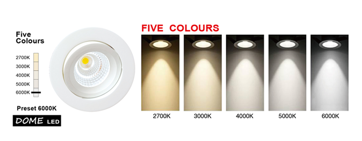 PHL Dome Five Colours Downlight