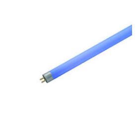 NLS: Coloured T5 Fluorescent Lamps