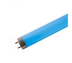 Fout foot T8  LED BLUE Tubes