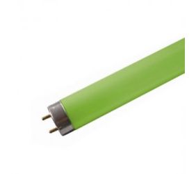 NLS: Coloured T5 Fluorescent Lamps