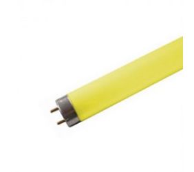 NLS: Coloured T5 Fluorescent Lamps