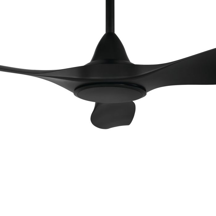 NOOSA 60DC Ceiling Fan