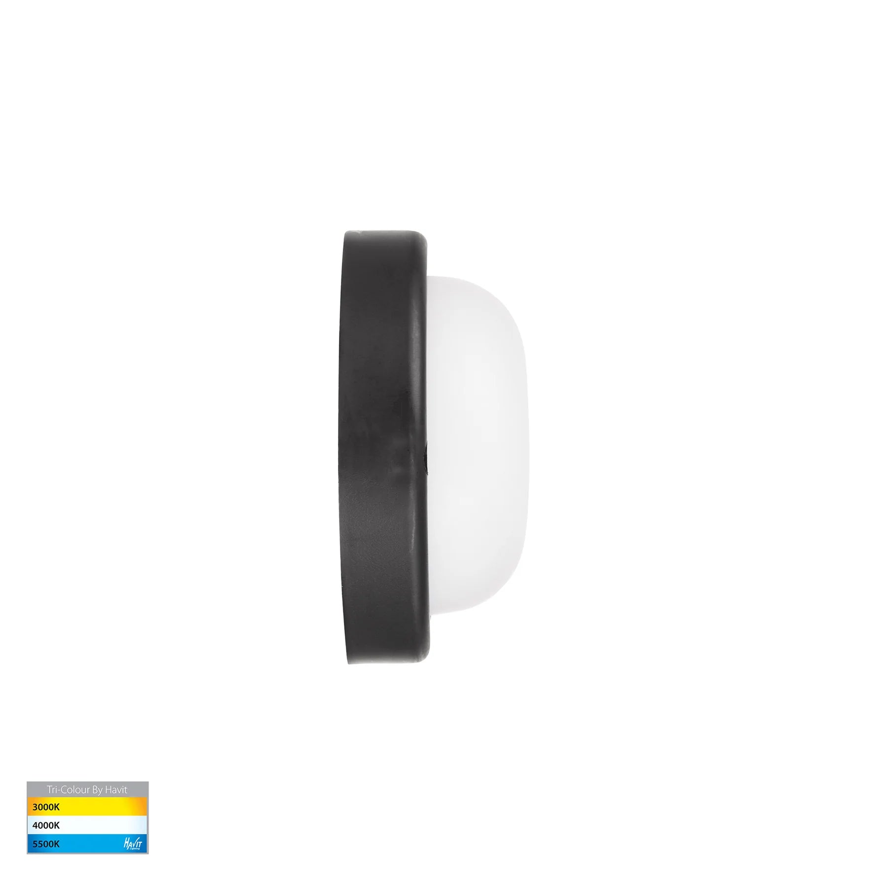 Havit HV3523T-BLK - Muovi Polycarbonate Black Wall or Ceiling Light