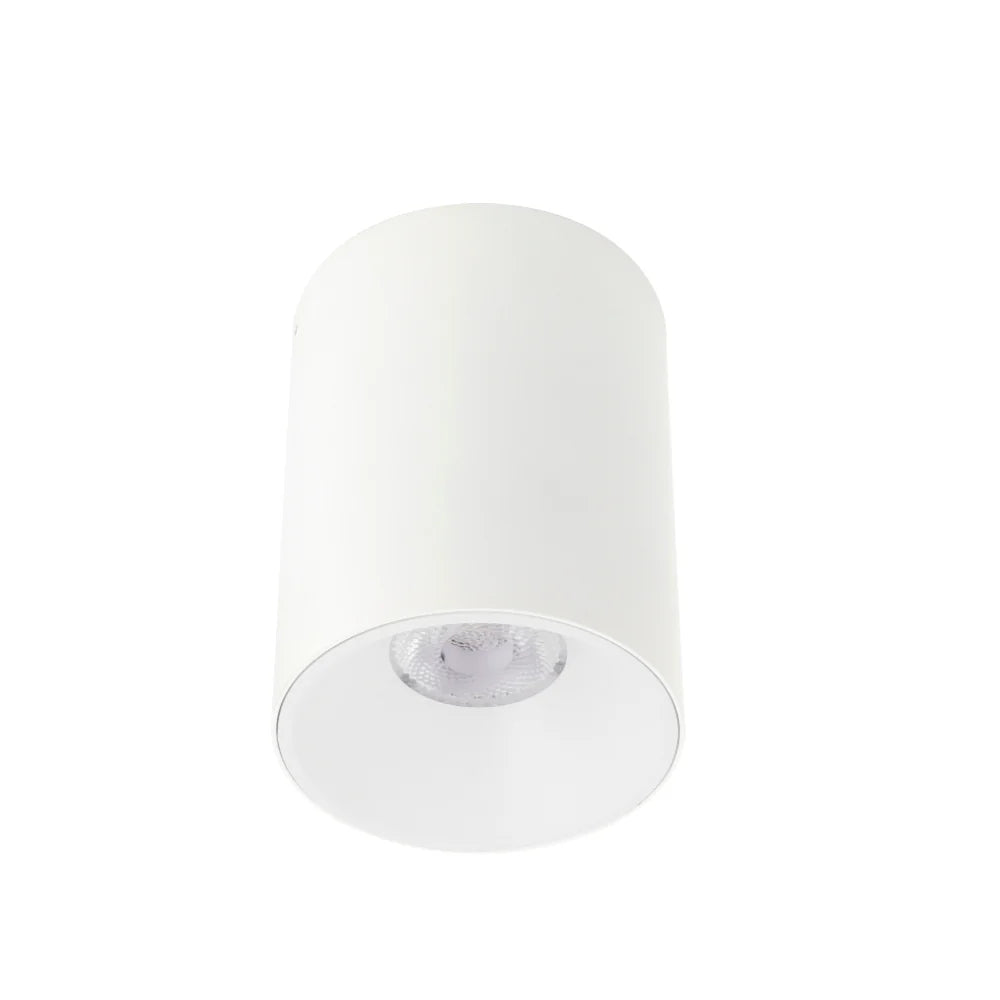 Telbix Lighting OREN CTC 12W LED