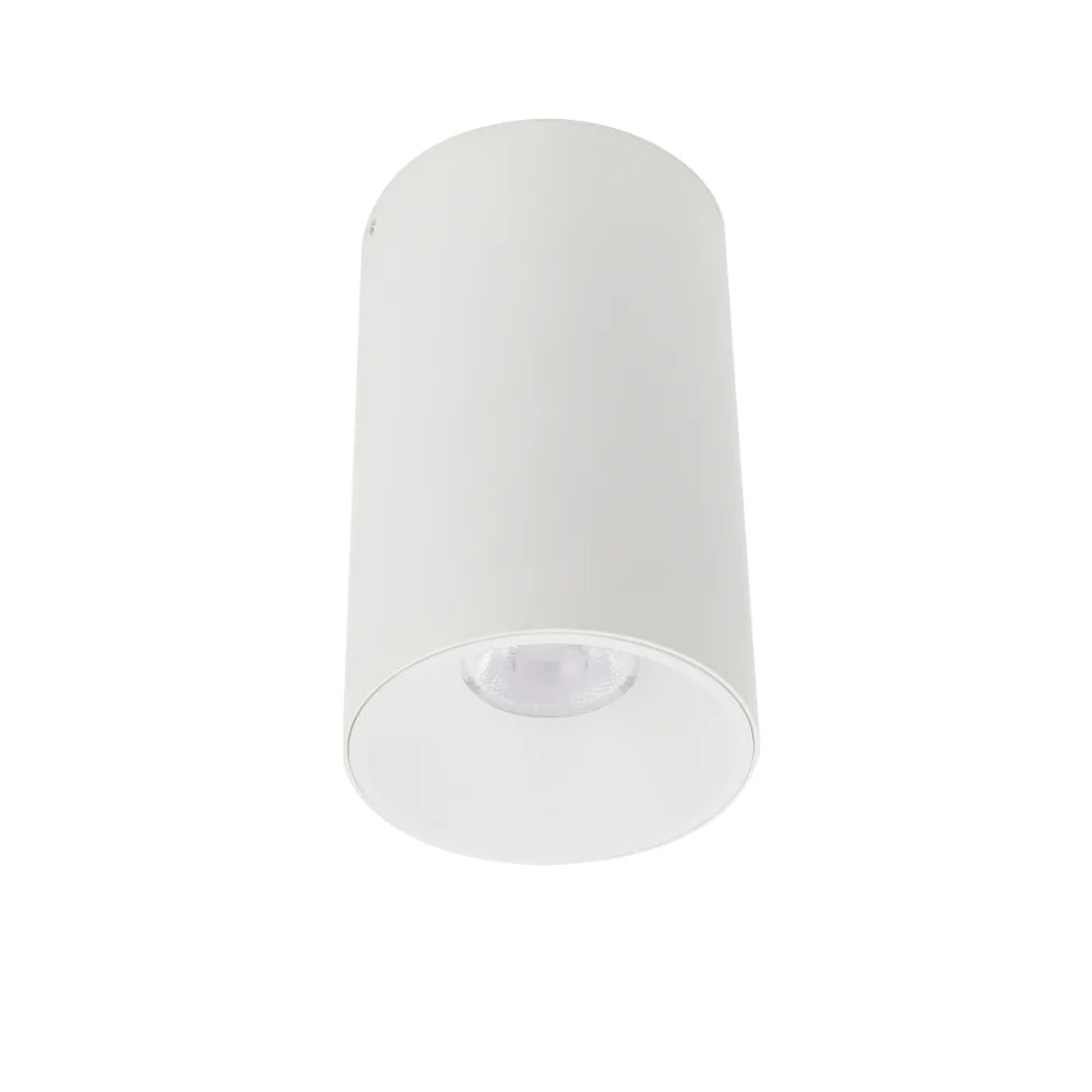 Telbix Lighting OREN CTC 18W LED