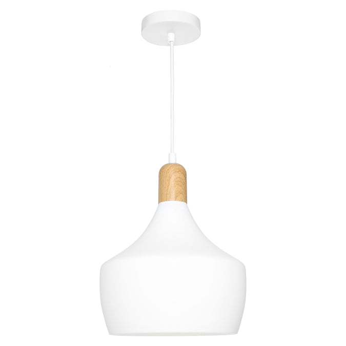 Cougar Lighting Bevo 1lt Pendant Light